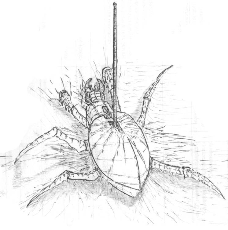 Аяна. Внутренние Земли - _8.jpg