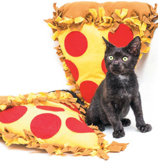 Крошки на ладошке. Трогательное руководство по спасению и заботе о котятах для самых неравнодушных - i_008.jpg