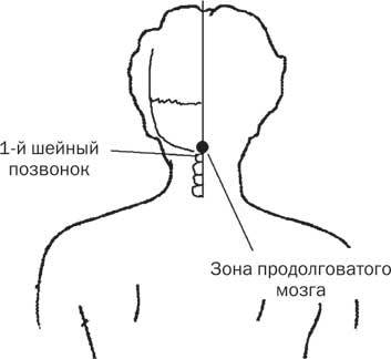 Тайна целительной силы точек нашего тела. Подробный атлас в подарок! - i_015.jpg