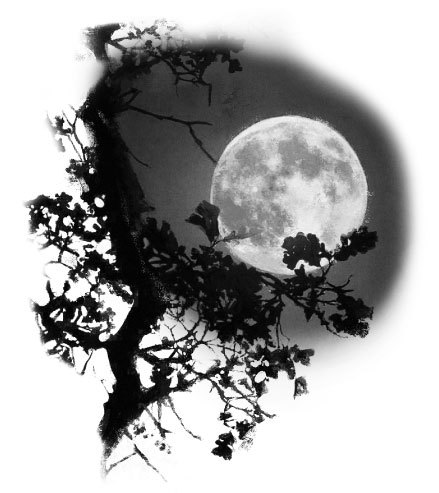 Луна костяной волшебницы - i_001.jpg