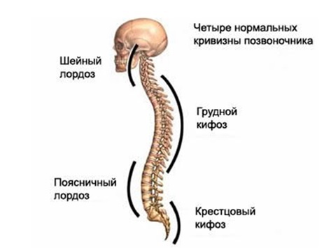 Магия Бессмертия 50. Жизнь, Смерть и Бессмертие - _4.jpg