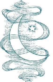 Год самопознания. Ритуалы, практики и медитации, меняющие жизнь - i_110.jpg