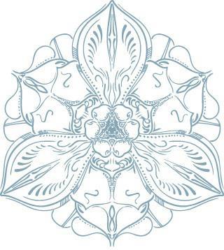 Таро. Как укрепить связь с картам через церемонии, расклады и медитации - i_020.jpg