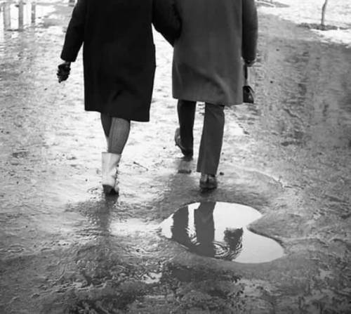 Роза (СИ) - img31.jpg