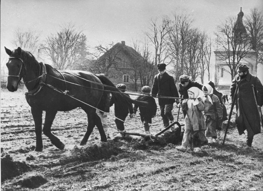 Детский сеанс. Долгая счастливая история белорусского игрового кино для детей - _13.jpg