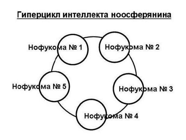 Ноосферное мышление. Или что такое нофукома в интеллекте ноосферянина - i_003.jpg