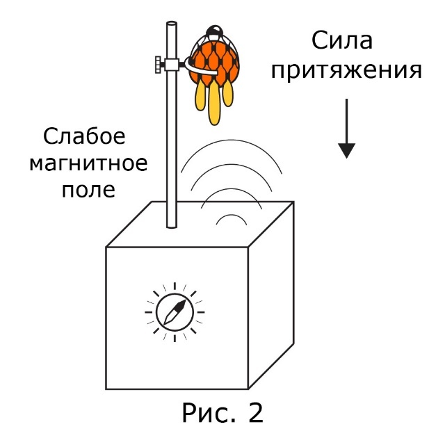 Давай перевернём Вселенную (СИ) - img_5.jpeg