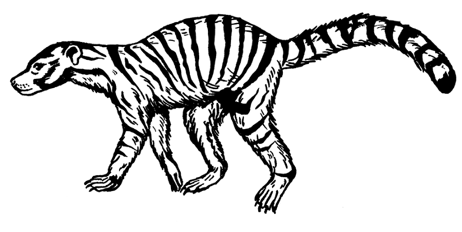 Палеонтология антрополога. Том 3. Кайнозой - i_004.png