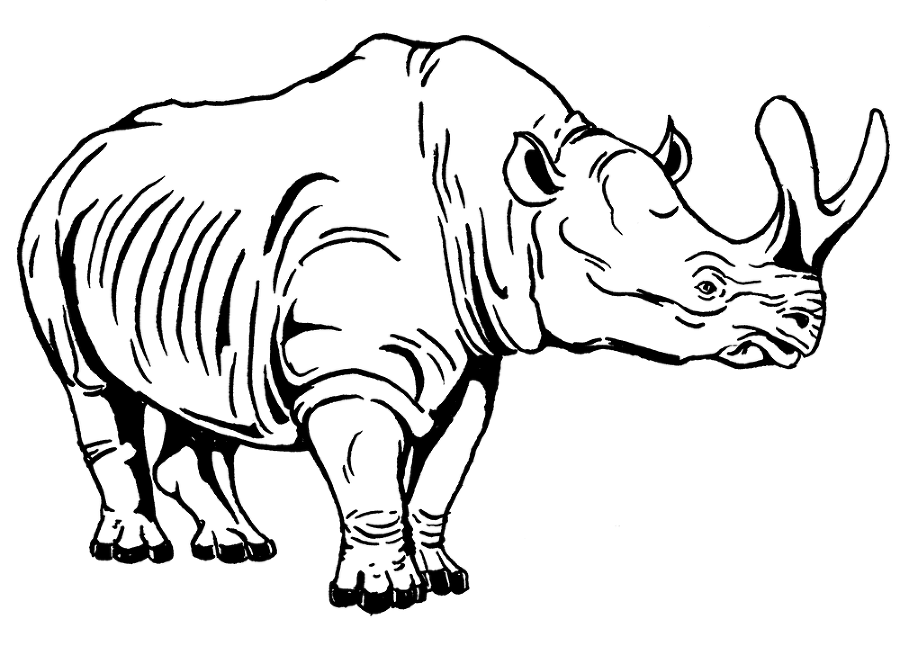 Палеонтология антрополога. Том 3. Кайнозой - i_009.png