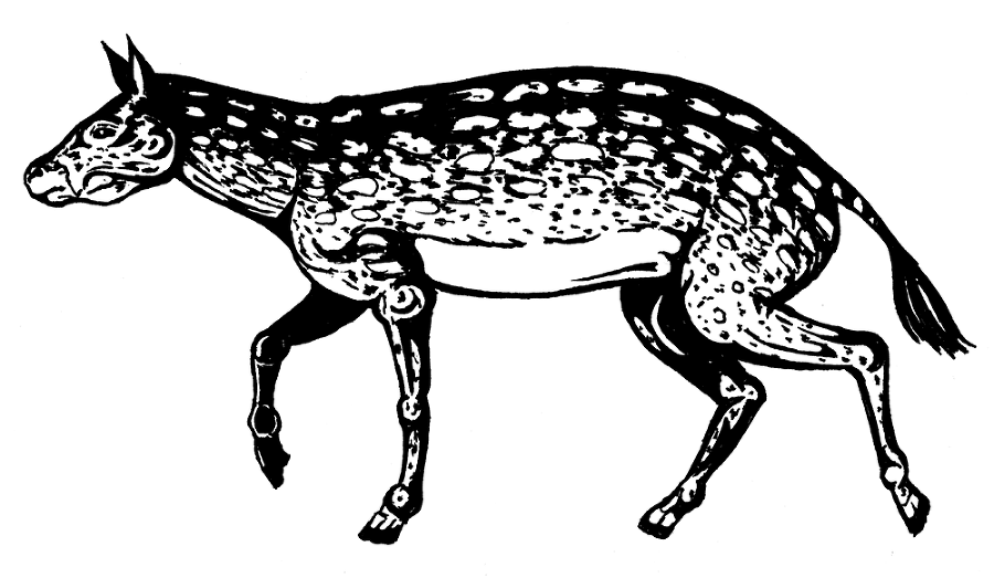 Палеонтология антрополога. Том 3. Кайнозой - i_010.png