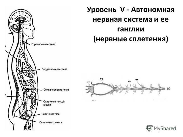 Попаданец Павлик Морозов (СИ) - i_058.jpg