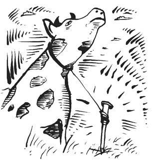 Карма любви. Вопросы о личных отношениях. В новом переводе - i_024.jpg