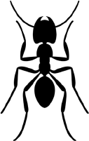 Путешествие к муравьям - i_001.png