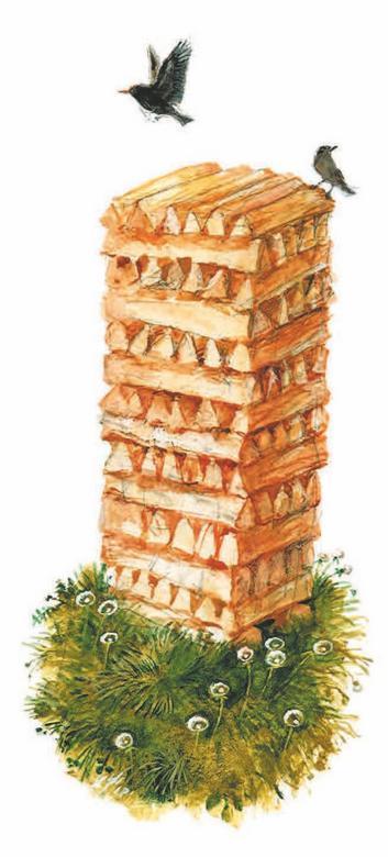 Печной волк - i_008.jpg