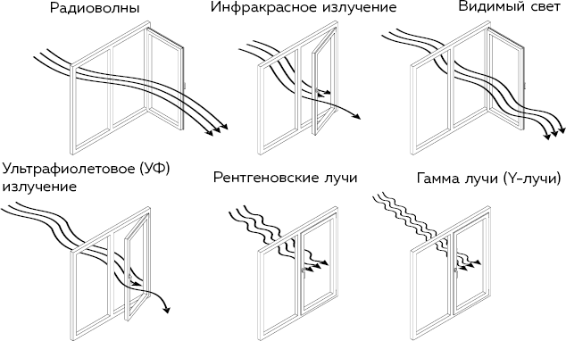 Чем пахнет дождь? Ясные ответы на туманные вопросы о климате и погоде - i_002.png