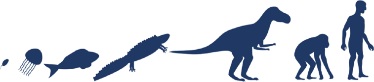 Адаптируйся или умирай! 21 атрибут адаптивной организации. Путеводитель по лучшим практикам успешных и жизнеспособных компаний - i_009.png