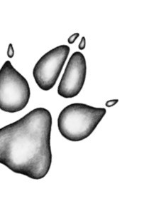 Тайна Холли - i_022.jpg