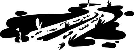 Травить нельзя остановить. 25 школьных историй о том, как защитить себя и друзей - i_021.jpg