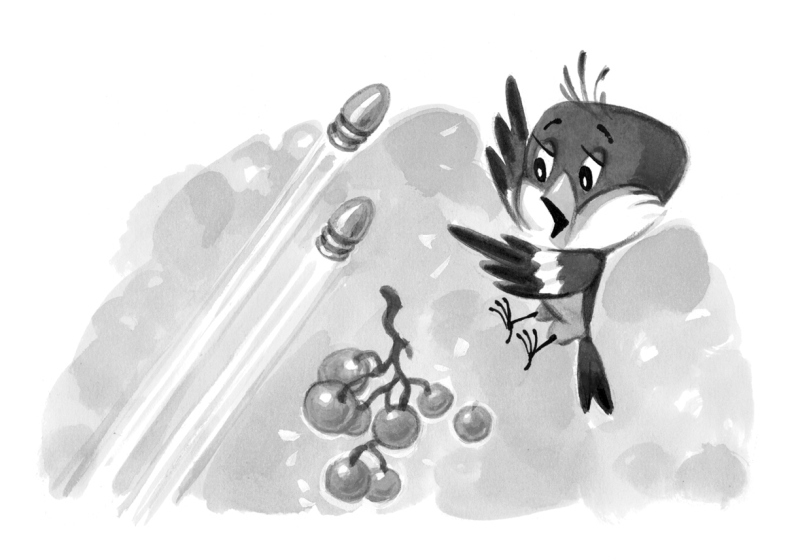 Приключения попугая Кеши - i_011.jpg