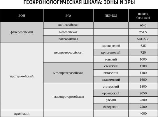 Похождения видов. Вампироноги, паукохвосты и другие переходные формы в эволюции животных - i_004.png