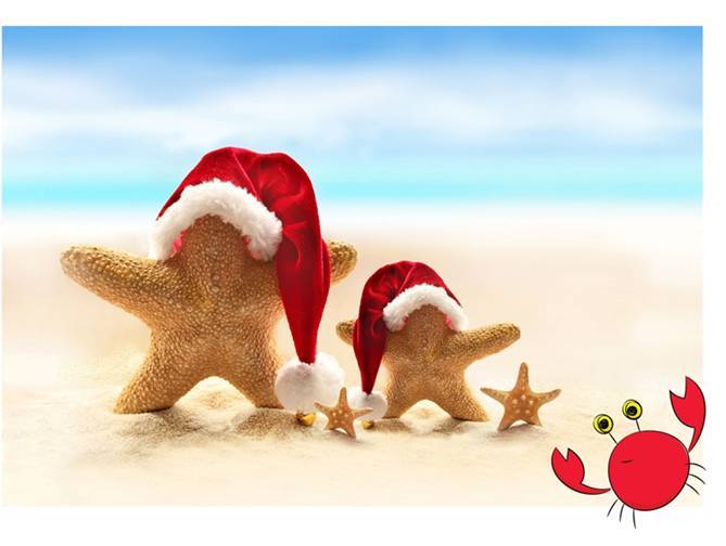 Ренідео Новий Рік - _3.jpg