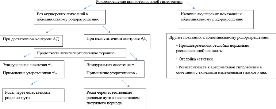 Как лечить сердечные заболевания у беременных. Кратко, емко и по делу - i_012.png