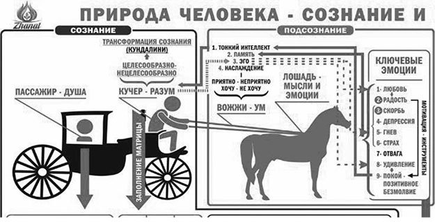 Теряя иллюзии, или Наша сила – это наша слабость - i_016.jpg