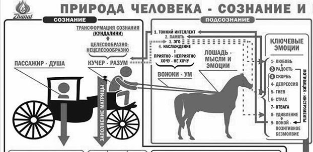 Теряя иллюзии, или Наша сила – это наша слабость - i_020.jpg