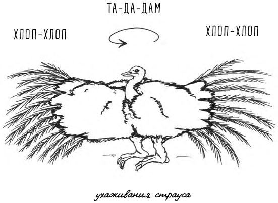 Может ли лошадь решать уравнения? И ещё 320 вопросов о животных - i_028.jpg