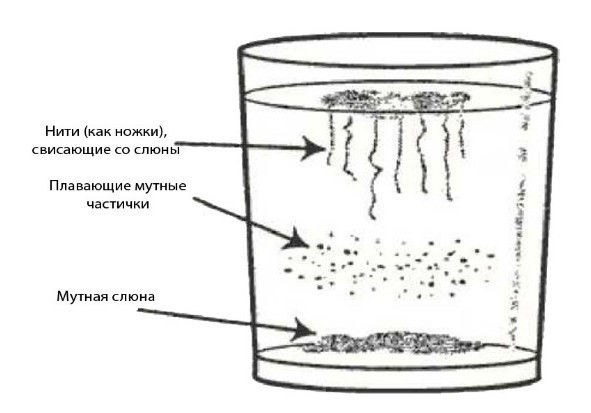 Полное руководство по всестороннему восстановлению здоровья - _1.jpg