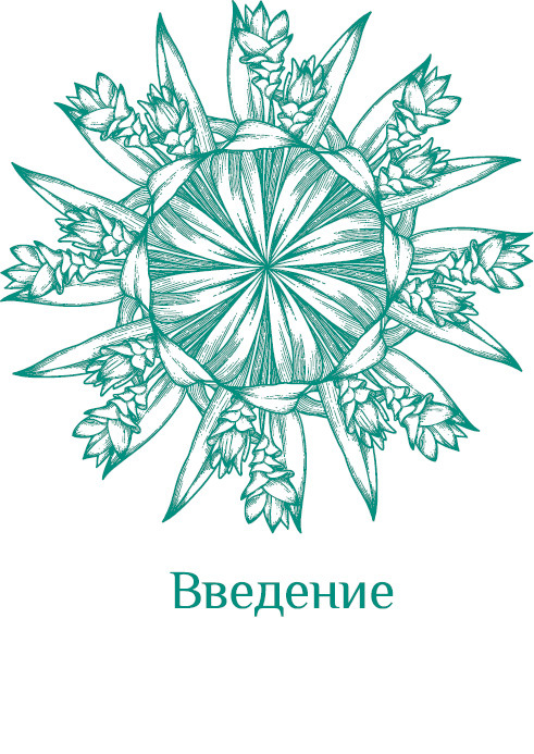 Эволюция – путь во времени. Ментальные и телесные техники сохранения молодости и обретения красоты - i_002.jpg