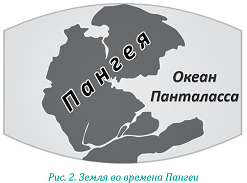 Эволюция – путь во времени. Ментальные и телесные техники сохранения молодости и обретения красоты - i_008.jpg