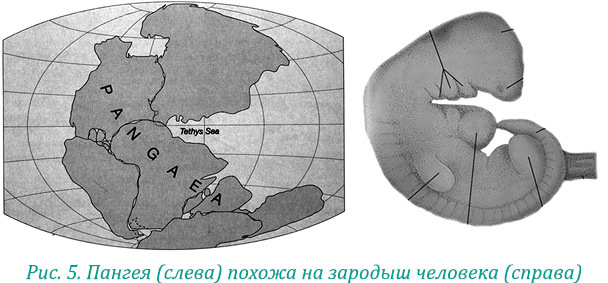 Эволюция – путь во времени. Ментальные и телесные техники сохранения молодости и обретения красоты - i_011.jpg