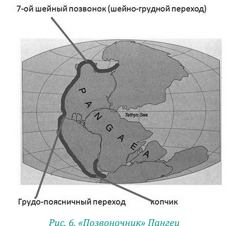 Эволюция – путь во времени. Ментальные и телесные техники сохранения молодости и обретения красоты - i_012.jpg