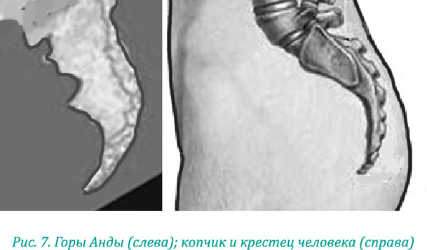 Эволюция – путь во времени. Ментальные и телесные техники сохранения молодости и обретения красоты - i_013.jpg