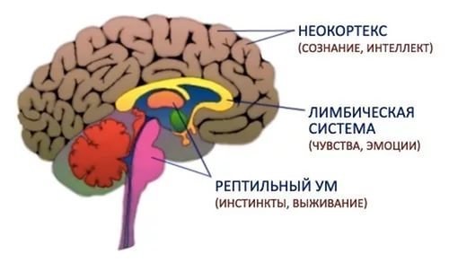 Шепотом о ней. Женщина – сосуд греха или чаша изобилия? - _2.jpg