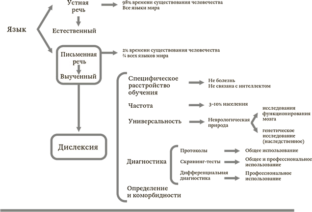 Поговорим о дислексии. Личный опыт и научные исследования - i_003.png