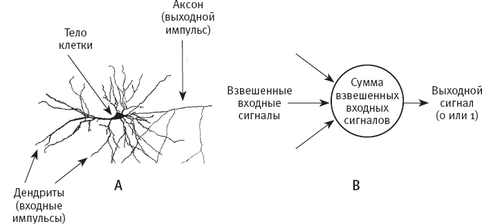 Идиот или гений? Как работает и на что способен искусственный интеллект - i_002.png