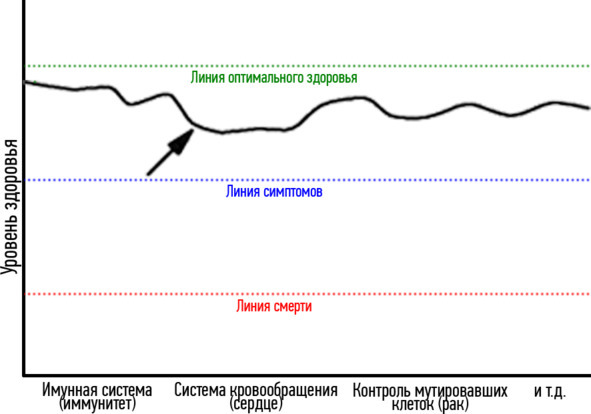 Основы здоровья - image3_59a8dd569cd74c0600d014d9_jpg.jpeg