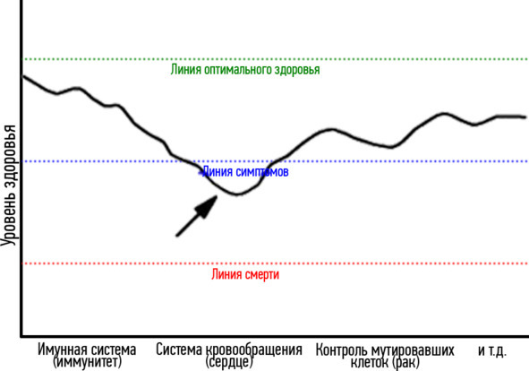 Основы здоровья - image4_59a8dd9febf4420600302524_jpg.jpeg