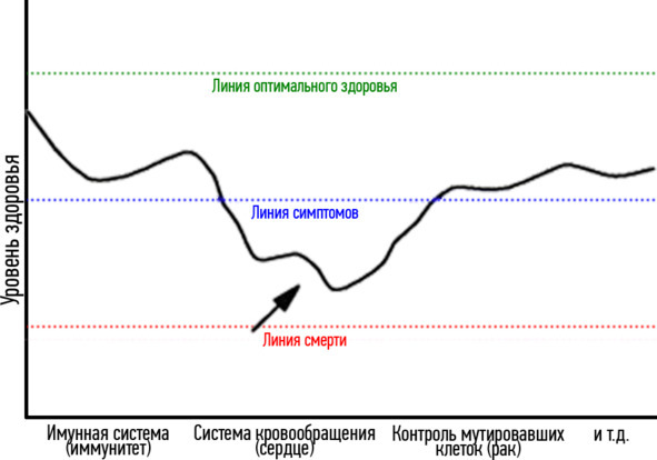 Основы здоровья - image6_59a8ded48e080a08004c0c2e_jpg.jpeg