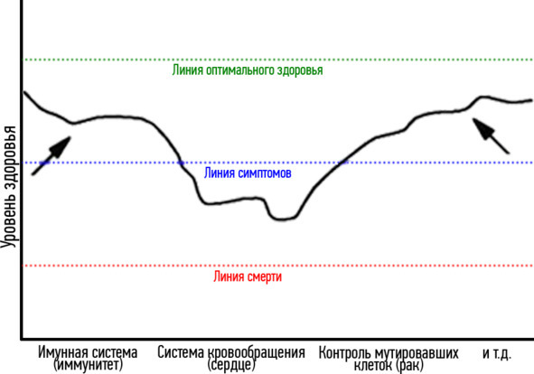 Основы здоровья - image7_59a8df709cd74c0600d0152c_jpg.jpeg