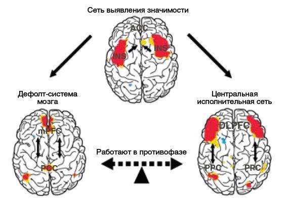 Машина мышления - i_002.jpg