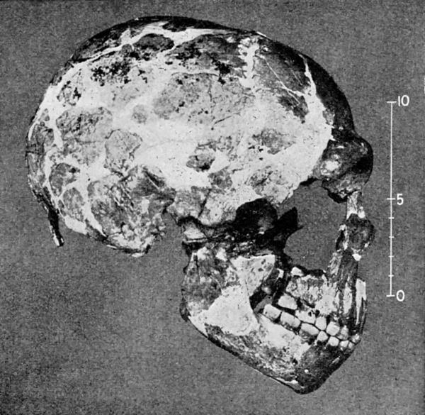 История Сирии. Древнейшее государство в сердце Ближнего Востока - i_004.jpg