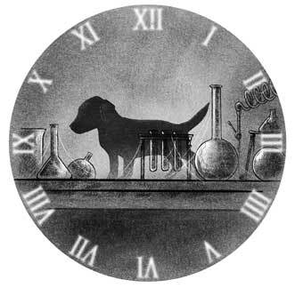 Когда остановились часы - i_005.jpg