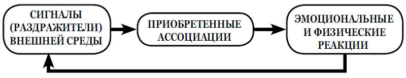 Что я сам себе говорю. Как мысли влияют на настроение и мотивацию - i_002.jpg