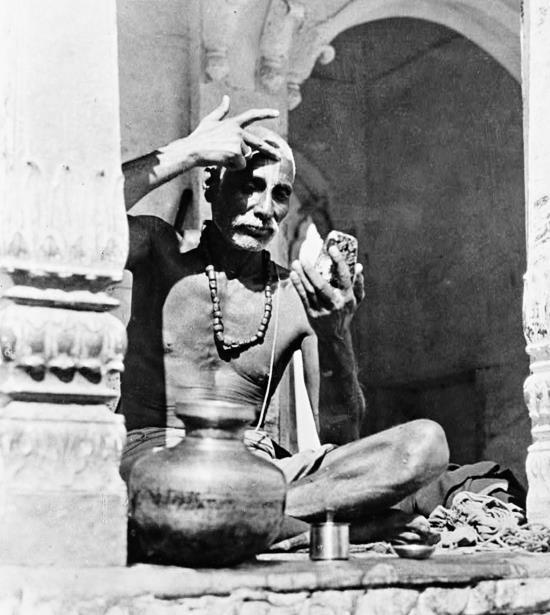 История и культура индийского храма. Книга II. Жизнь храма - i_015.jpg