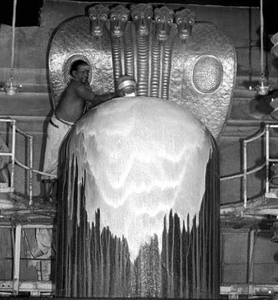 История и культура индийского храма. Книга II. Жизнь храма - i_017.jpg