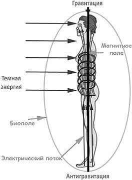 Звучание походки. Методика оздоровления спины и обретения красивой осанки - i_024.jpg