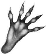 Месть пумы - i_027.jpg